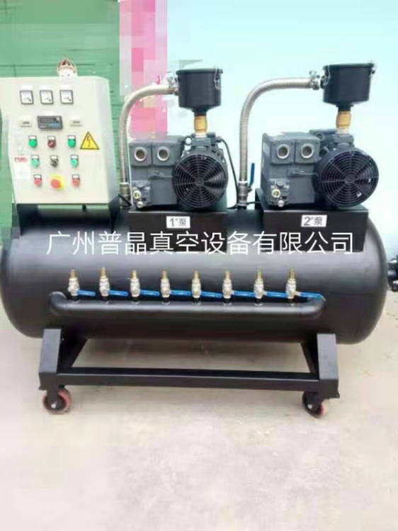 普旭RA0100F真空泵系統(tǒng) 風(fēng)電行業(yè)雙泵系統(tǒng) 進口真空泵系統(tǒng)